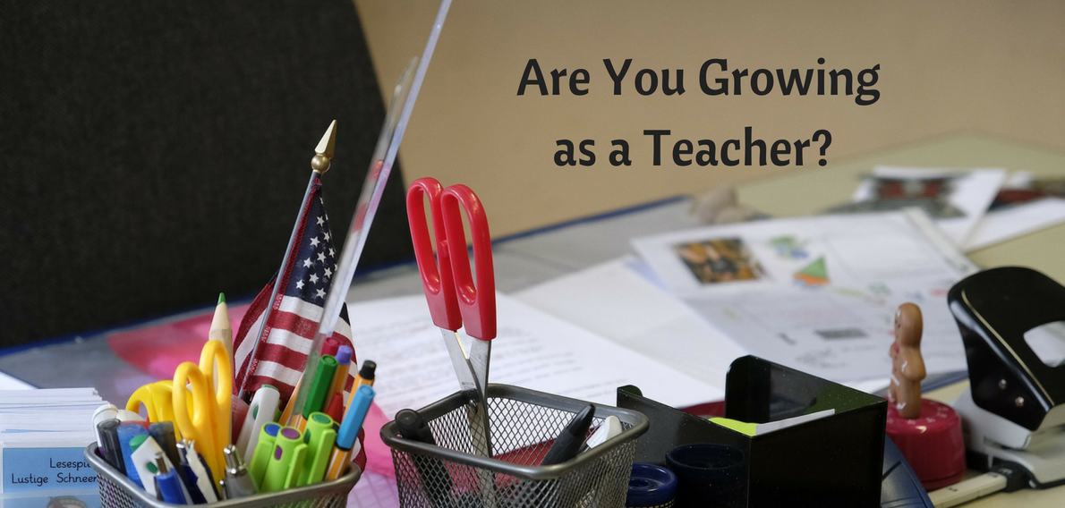 Professional Development: Its Up to You