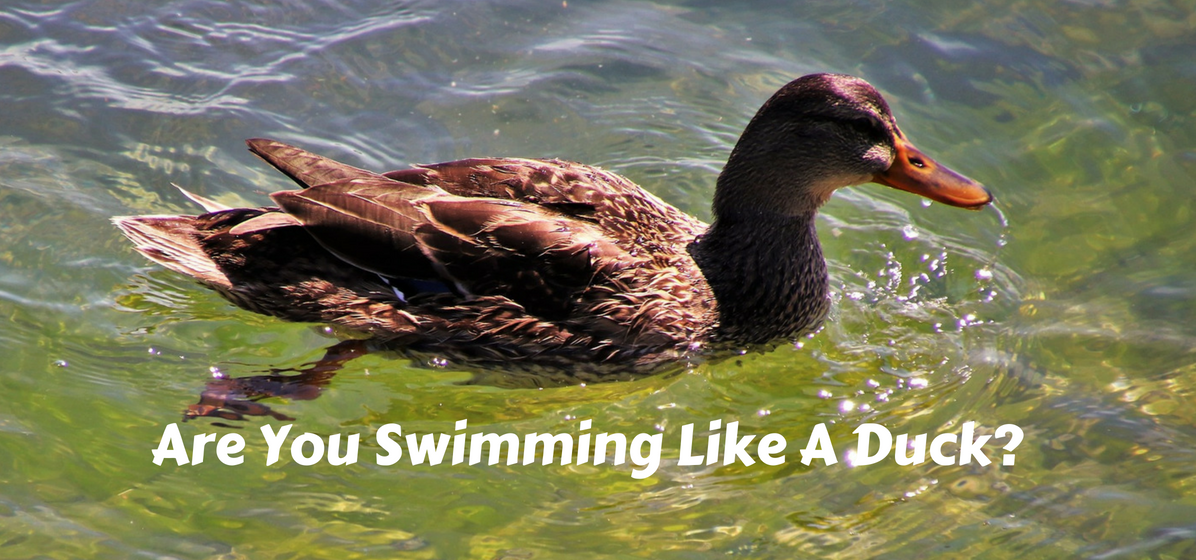 Swimming like a duck