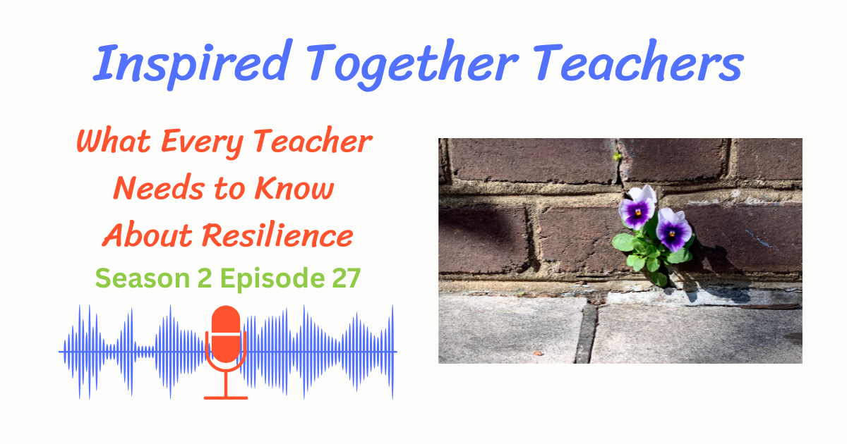 flower growing through a brick wall, resilience