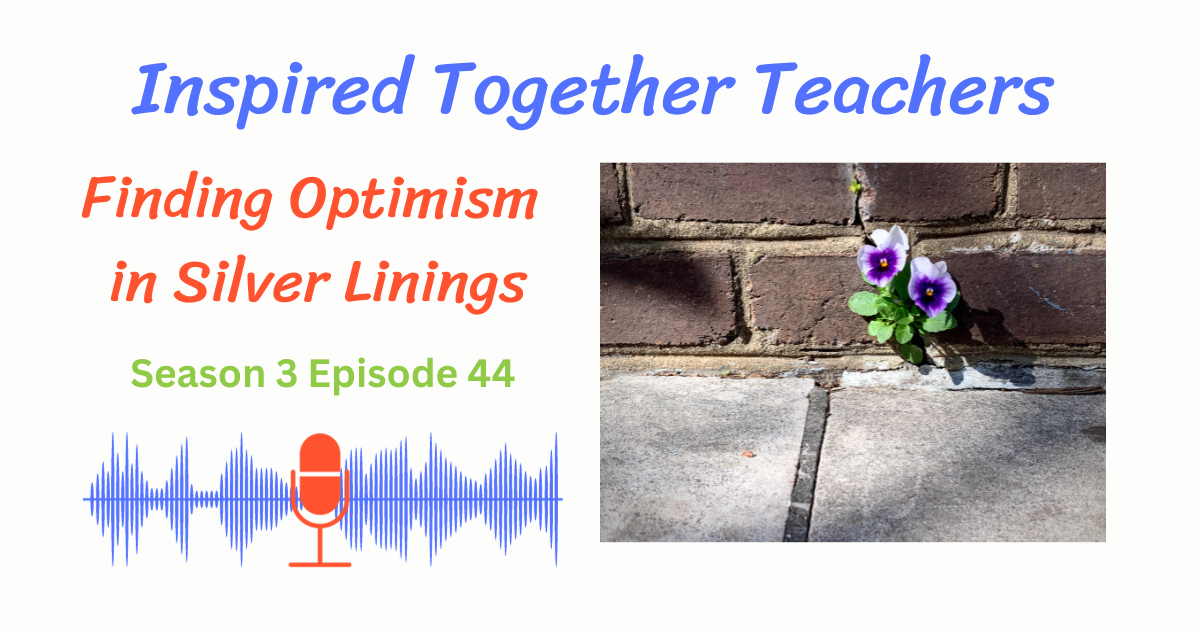 a pansy growing in a sidewalk crack