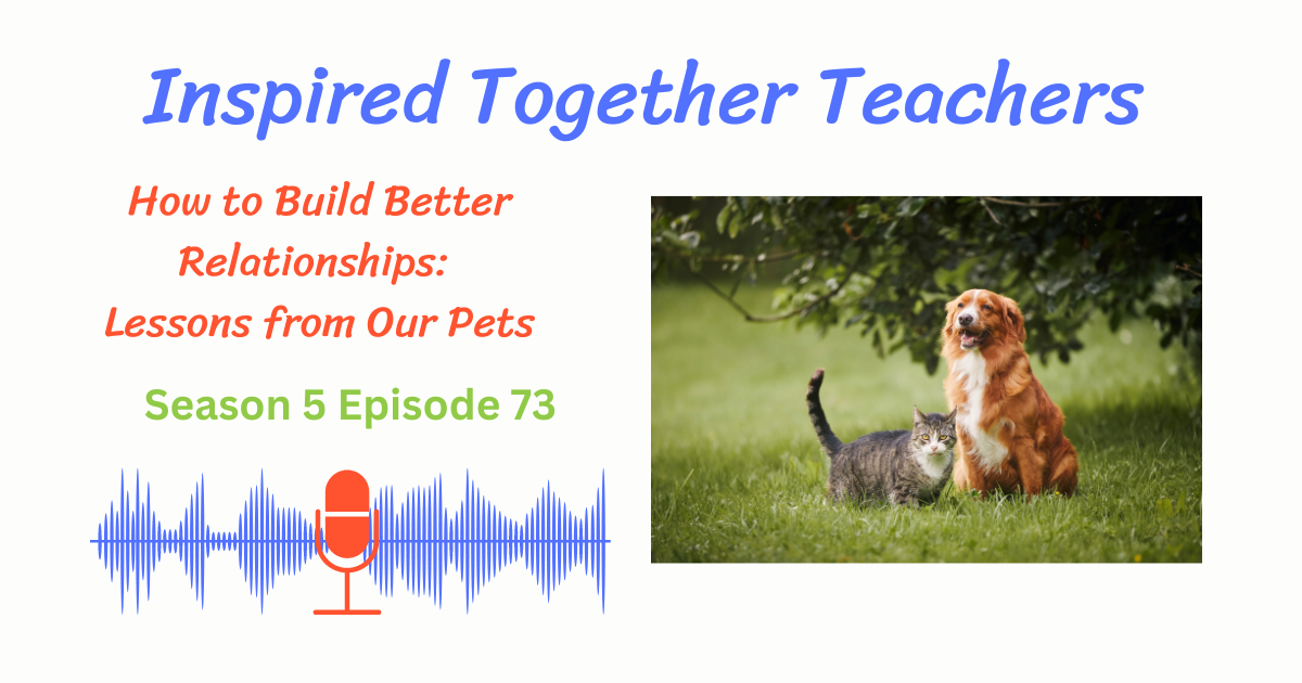 picture of dog and cat, How to Build Better Relationships: Lessons from our pets